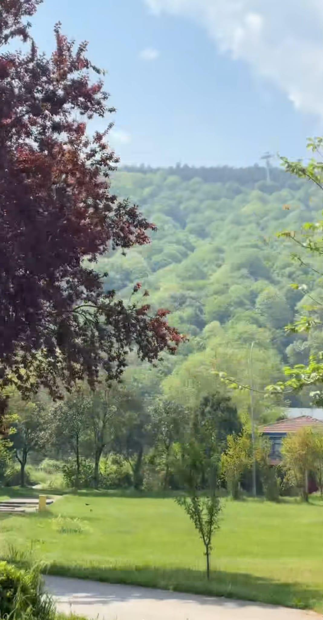 In the Heart of SAPANCA - Nature Retreat Daily & Weekly — 29