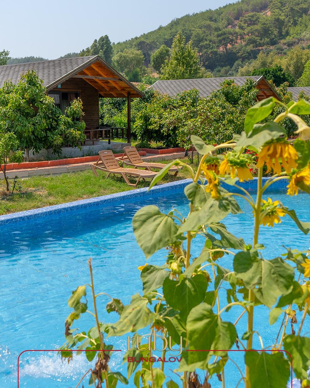 Dimçayı Bungalow