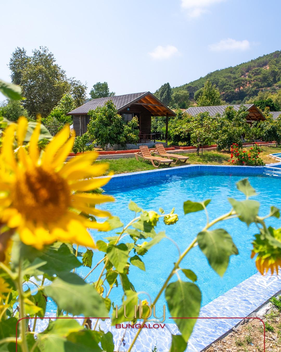 Dimçayı Bungalow — 3