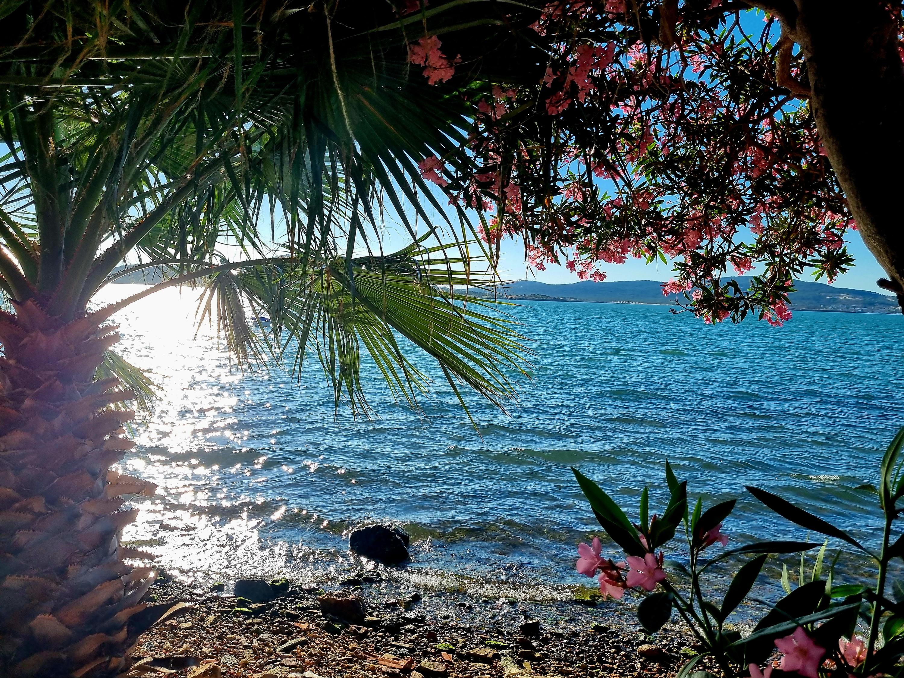 Sarımsaklı Beachfront Fully Furnished — 14