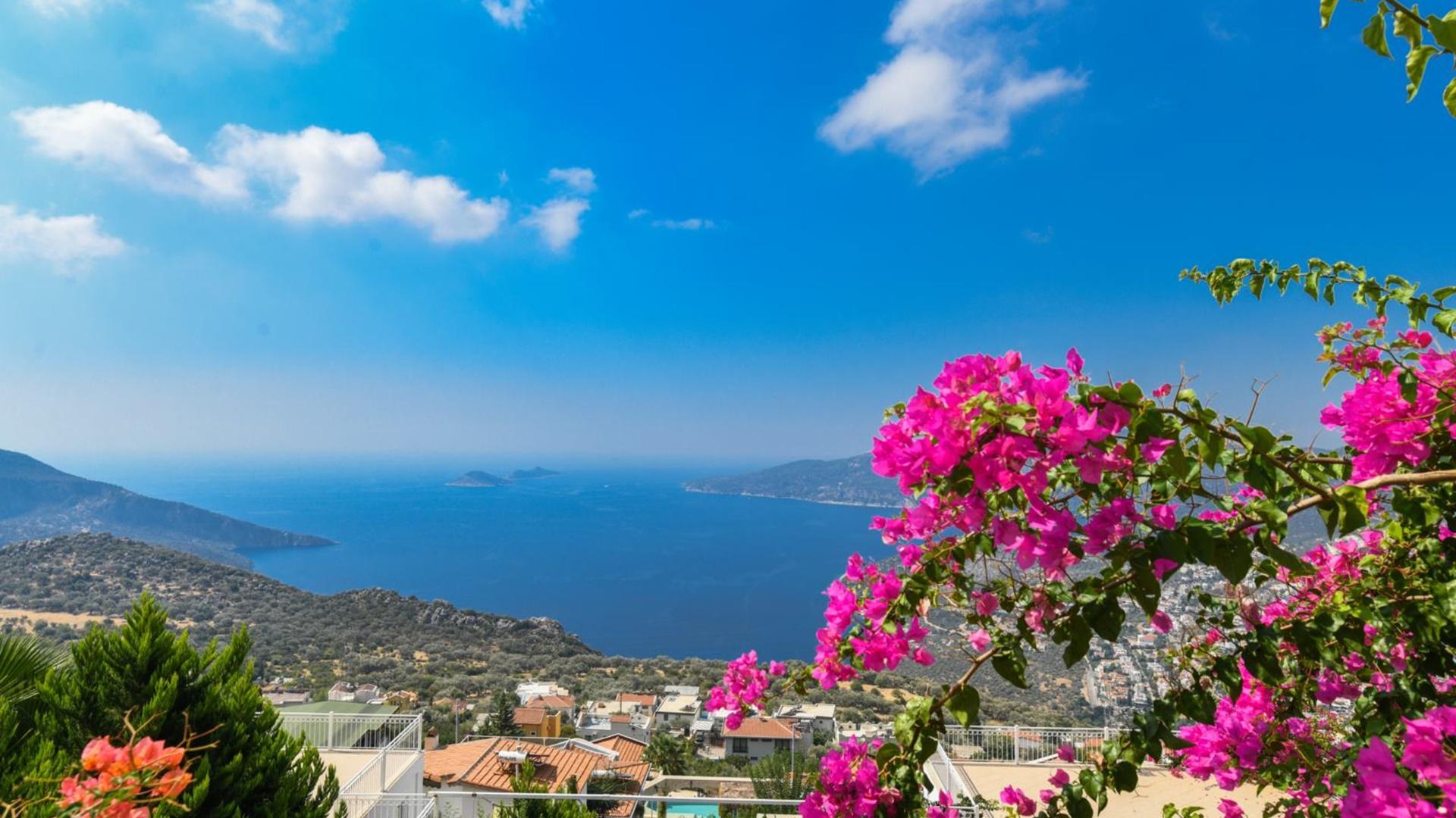 5+1 FULL SEA VIEW FOR 10 GUESTS — 16