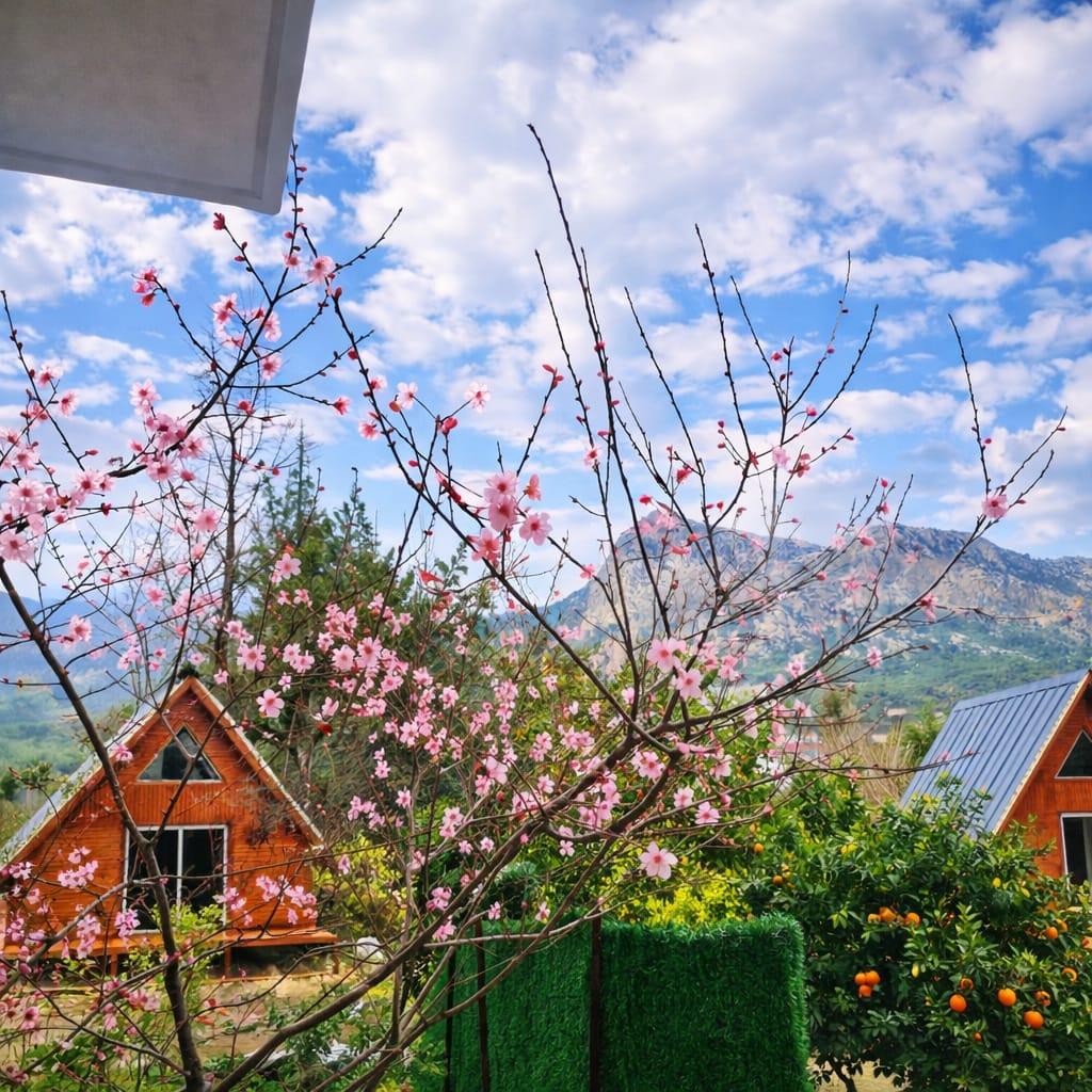 Peaceful Bungalow — 2