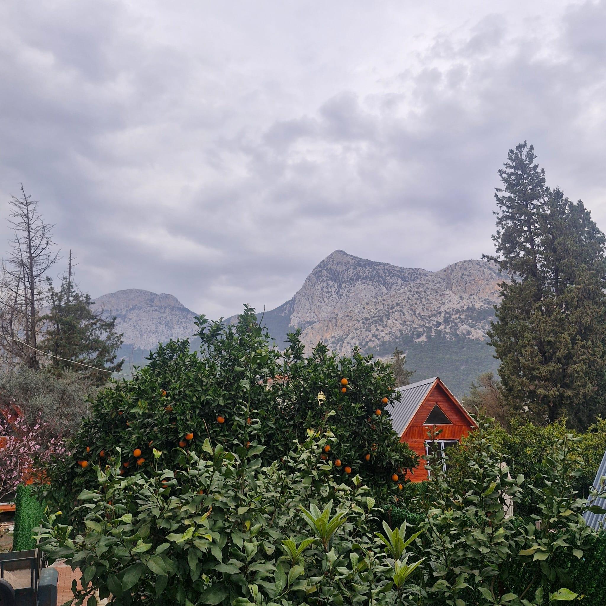 Peaceful Bungalow — 4