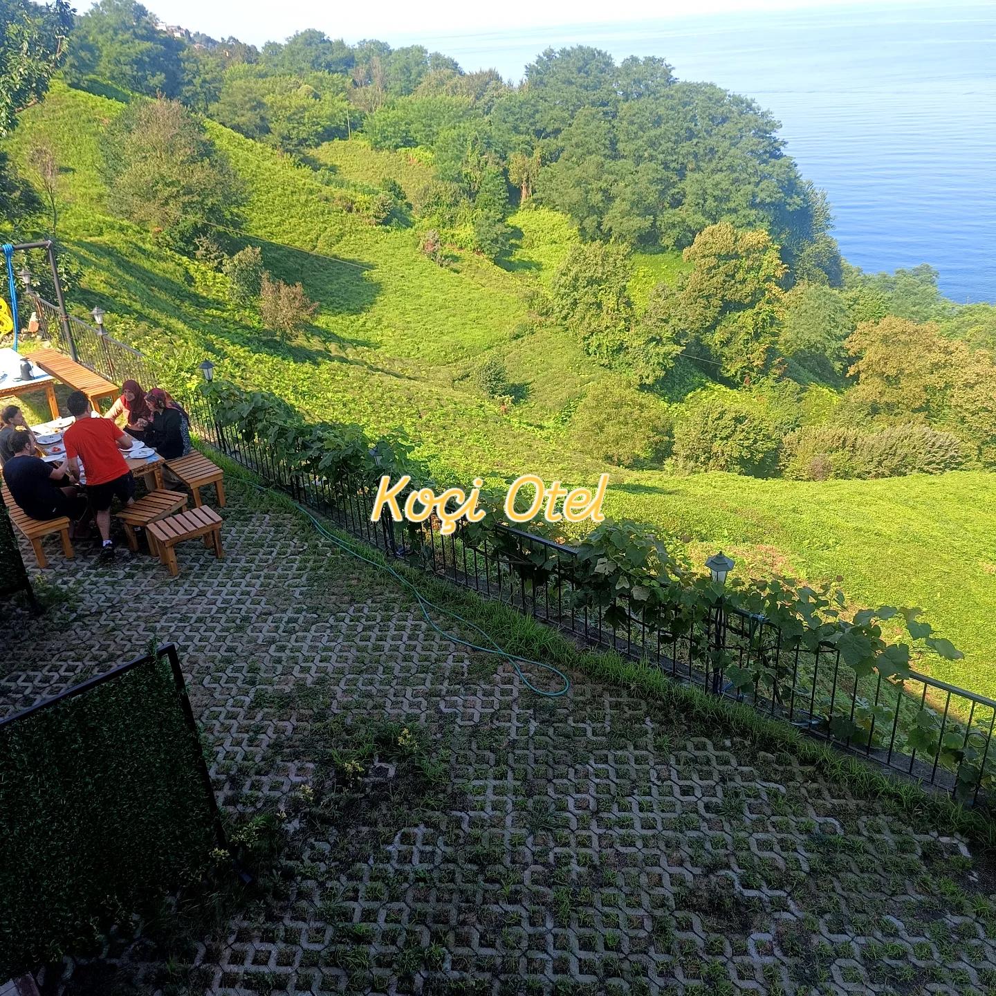 Sea, forest, tea gardens and river — 45