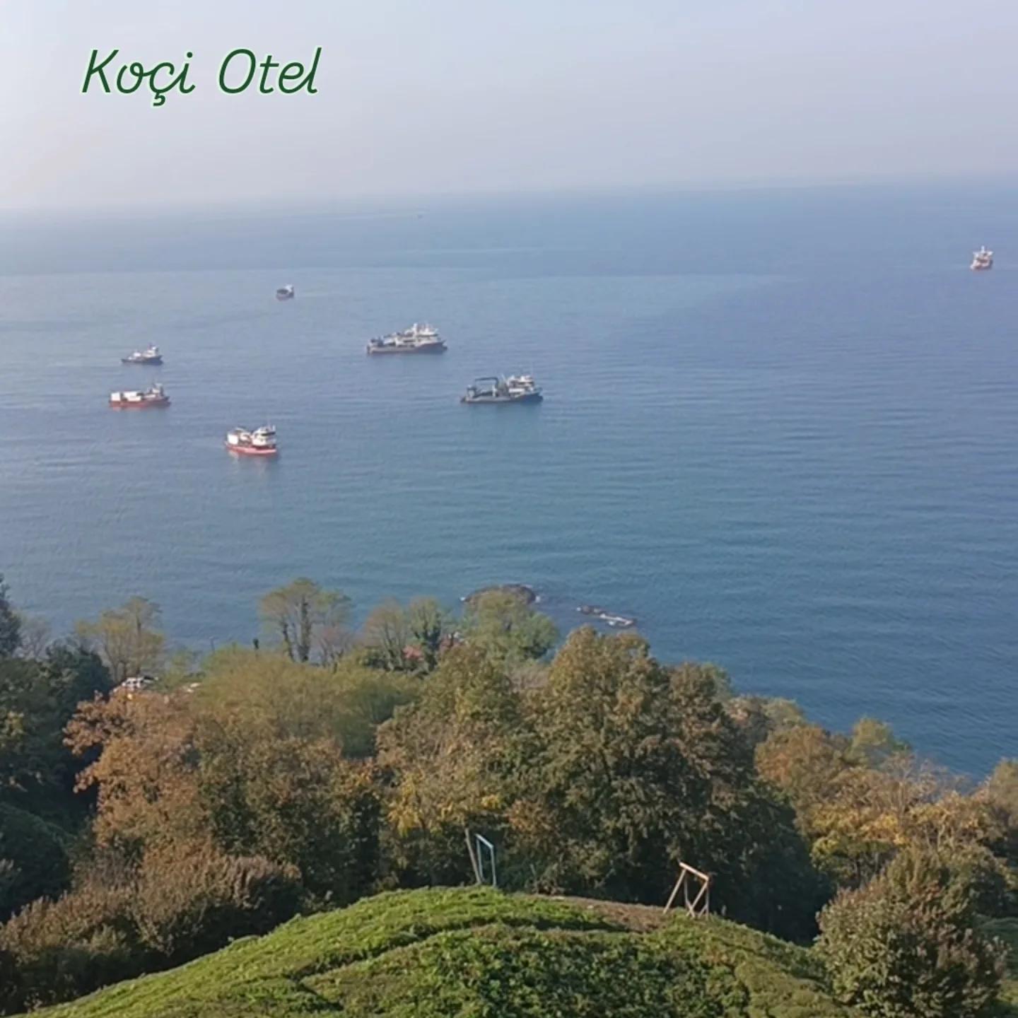Sea, forest, tea gardens and river — 44
