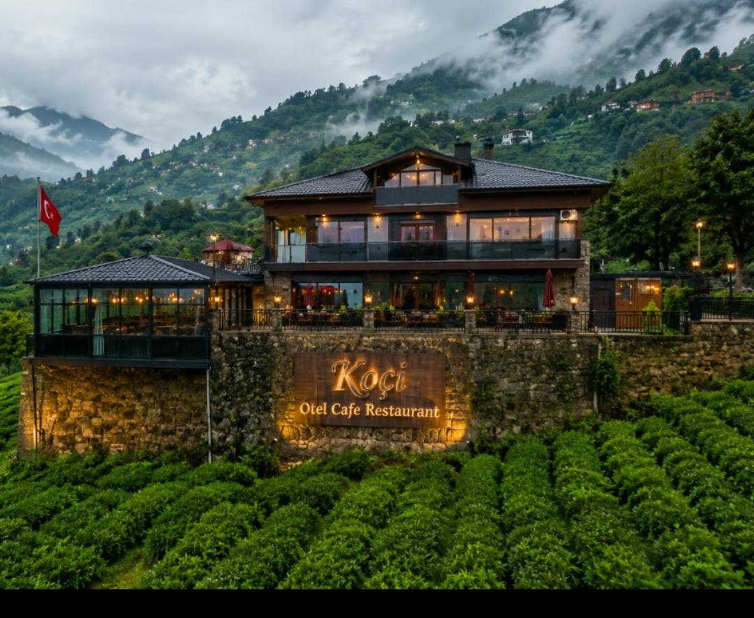 Sea, forest, tea gardens and river — 4