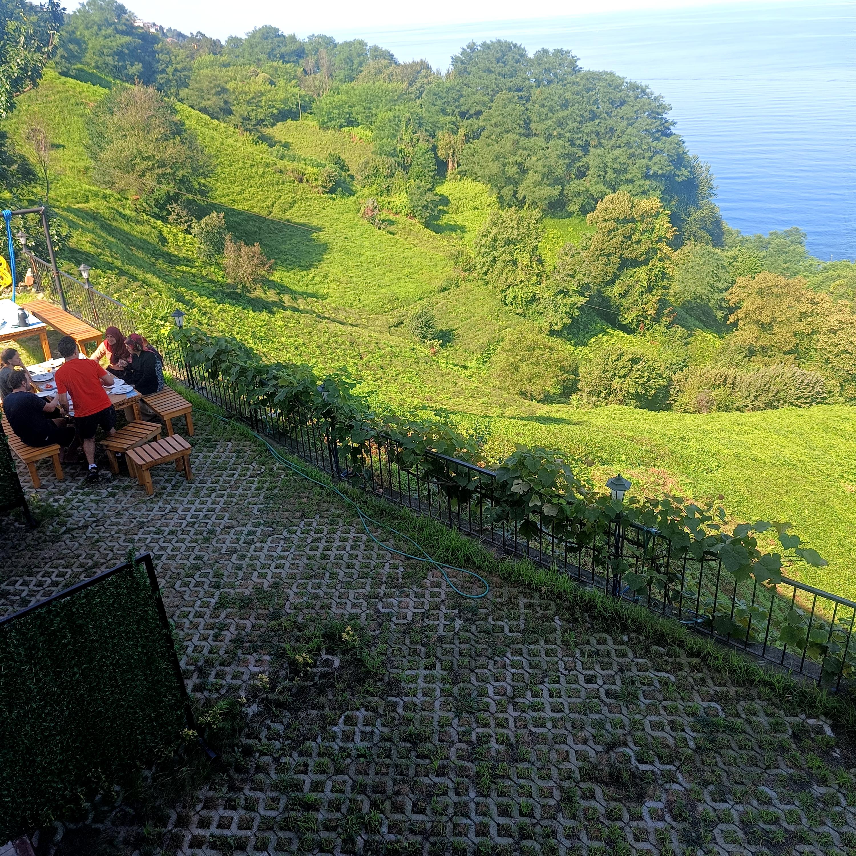 Sea, forest, tea gardens and river — 66