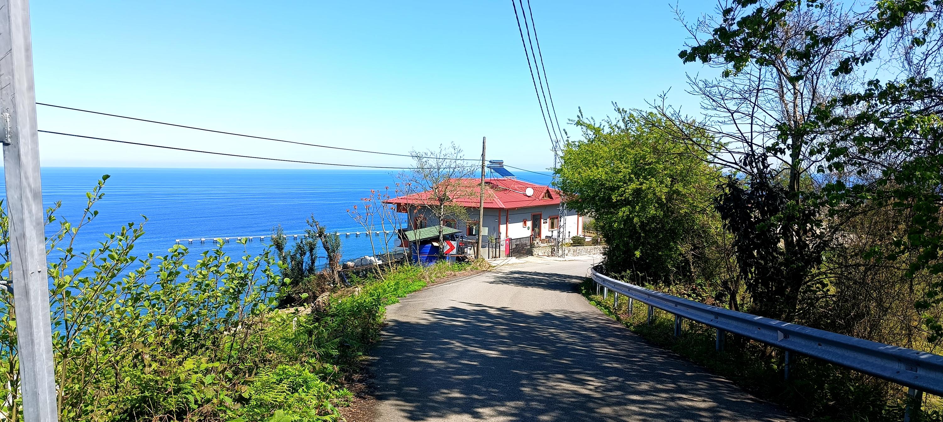 Sea, forest, tea gardens and river — 10